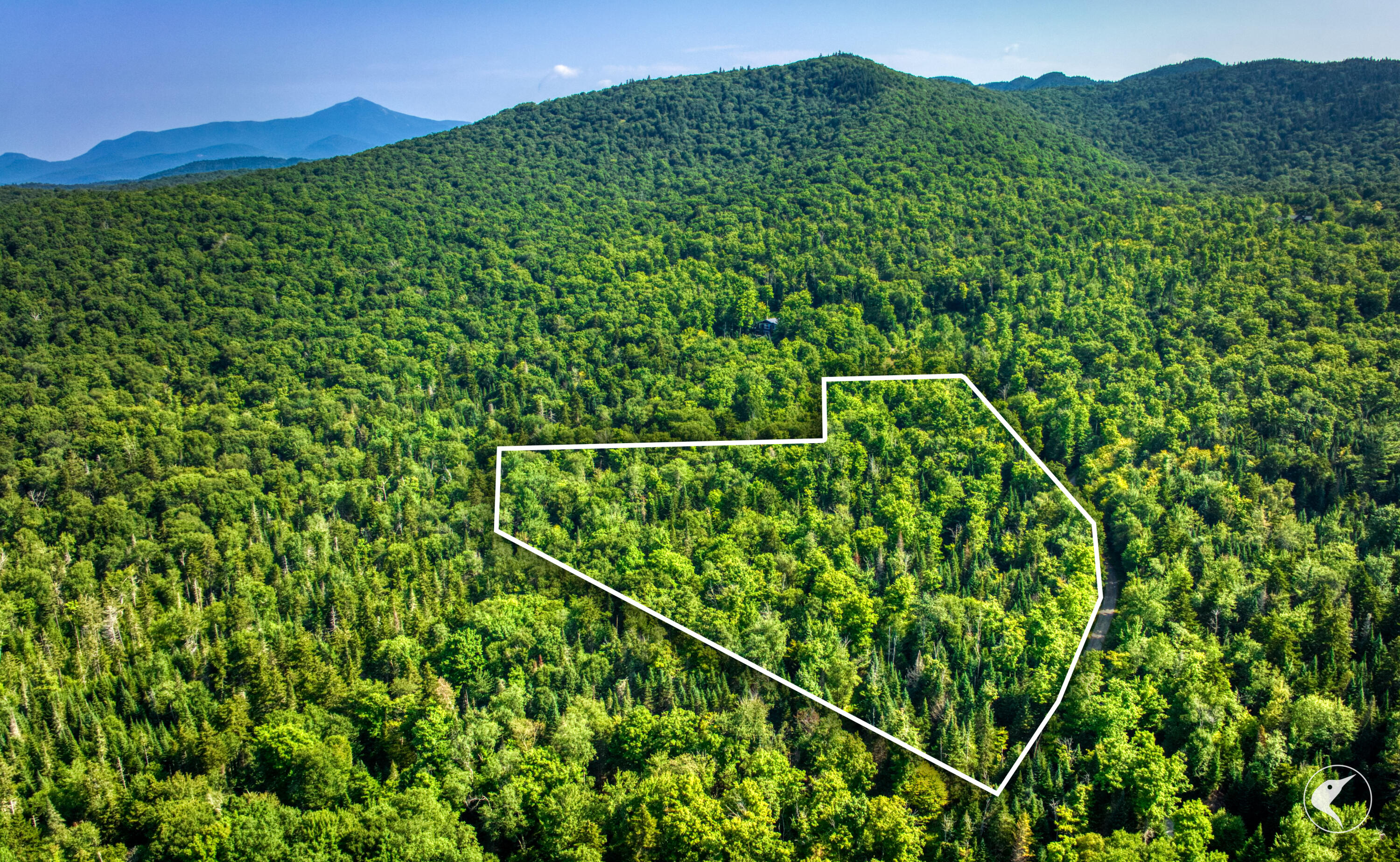 0 Grouse Creek Way Lot 4 Lake Placid NY 12946