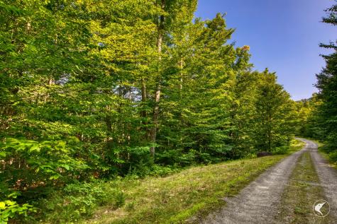 0 Grouse Creek Way Lot 4 Lake Placid NY 12946