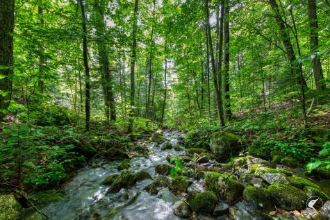 0 Grouse Creek Way Lot 4 Lake Placid NY 12946