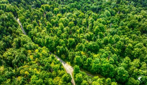 0 Grouse Creek Way Lot 4 Lake Placid NY 12946