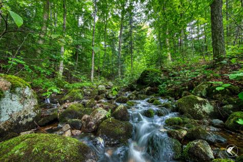 0 Grouse Creek Way Lot 4 Lake Placid NY 12946