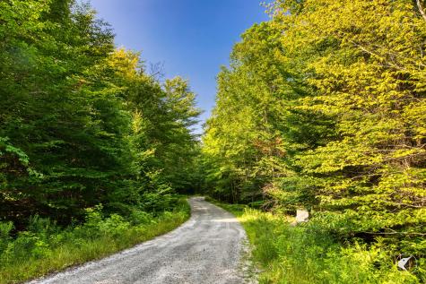 0 Grouse Creek Way Lot 4 Lake Placid NY 12946