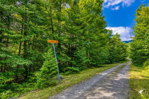 0 Grouse Creek Way Lot 4 Lake Placid NY 12946