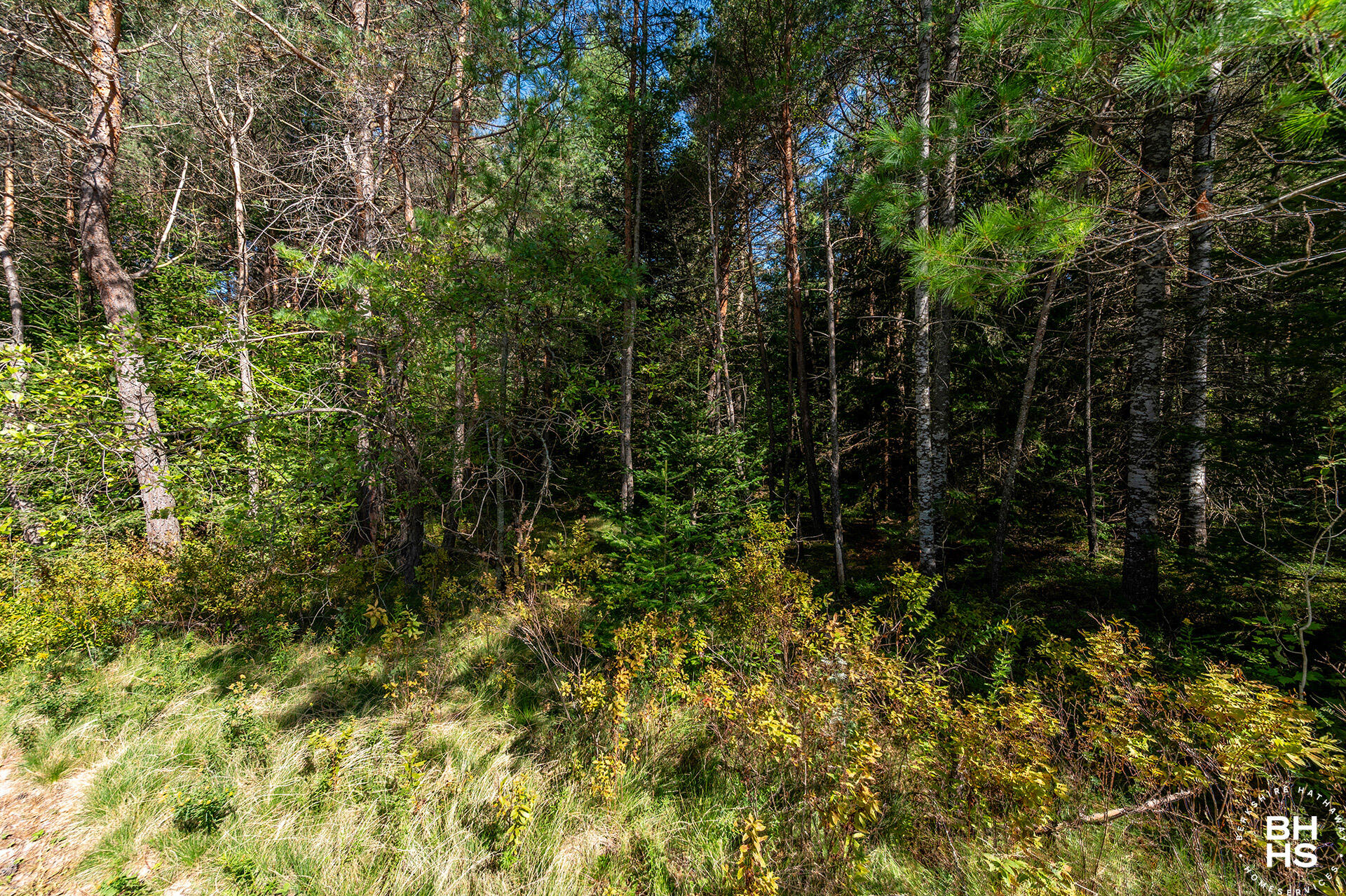 0 Cobble Hill Road Lake Placid NY 12946