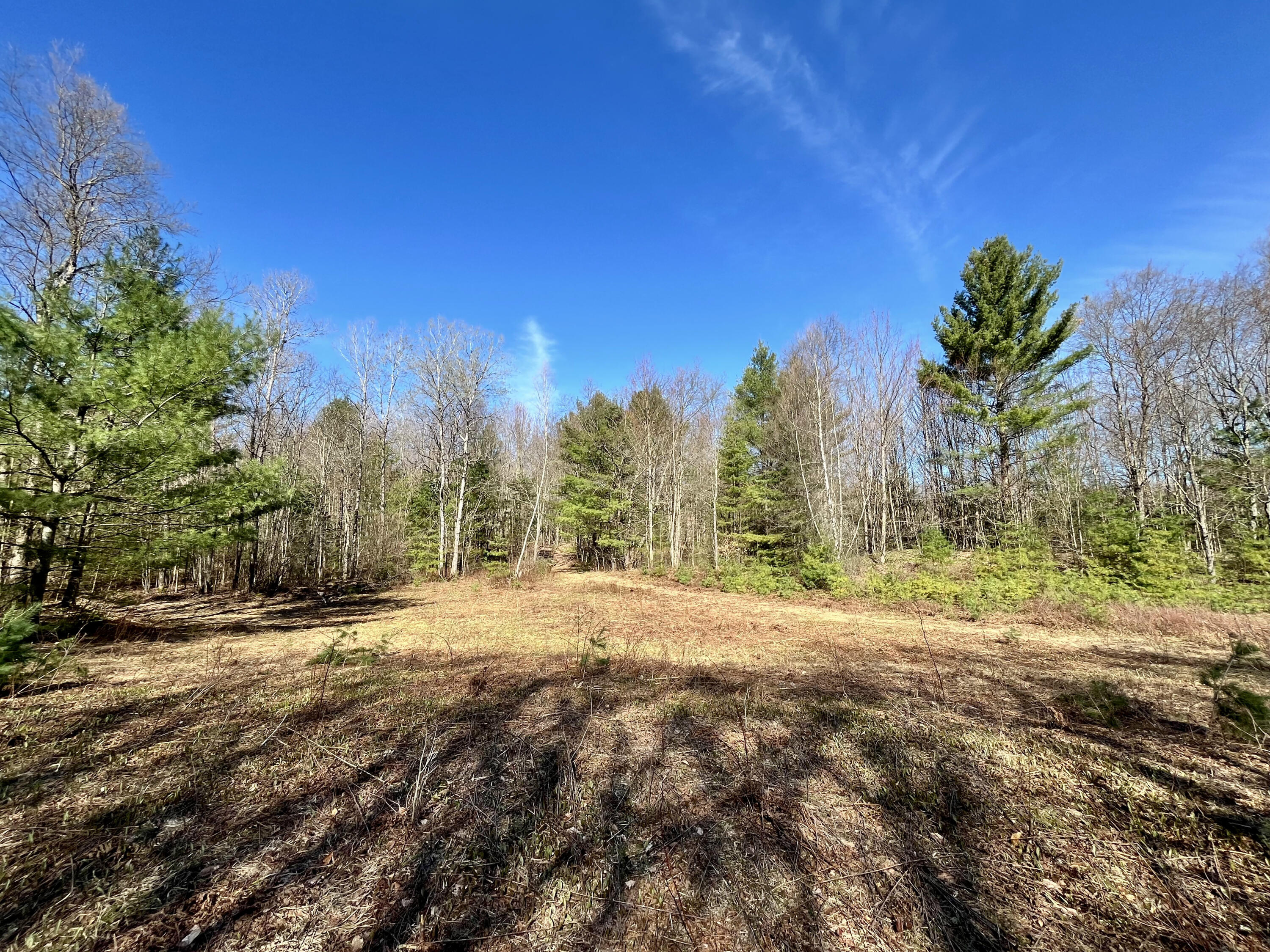 Off Oswegatchie Trail Road Star Lake NY 13690