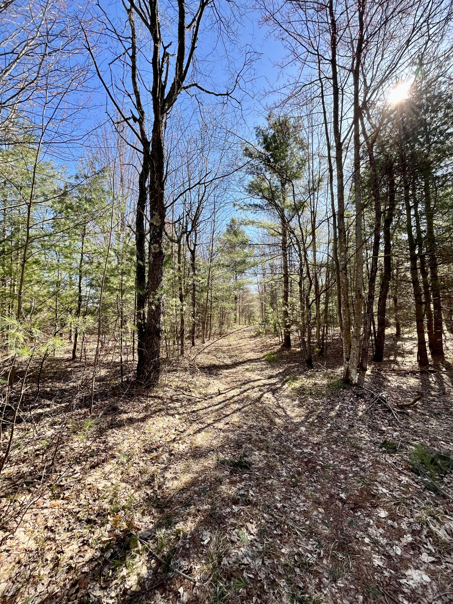 Off Oswegatchie Trail Road Star Lake NY 13690
