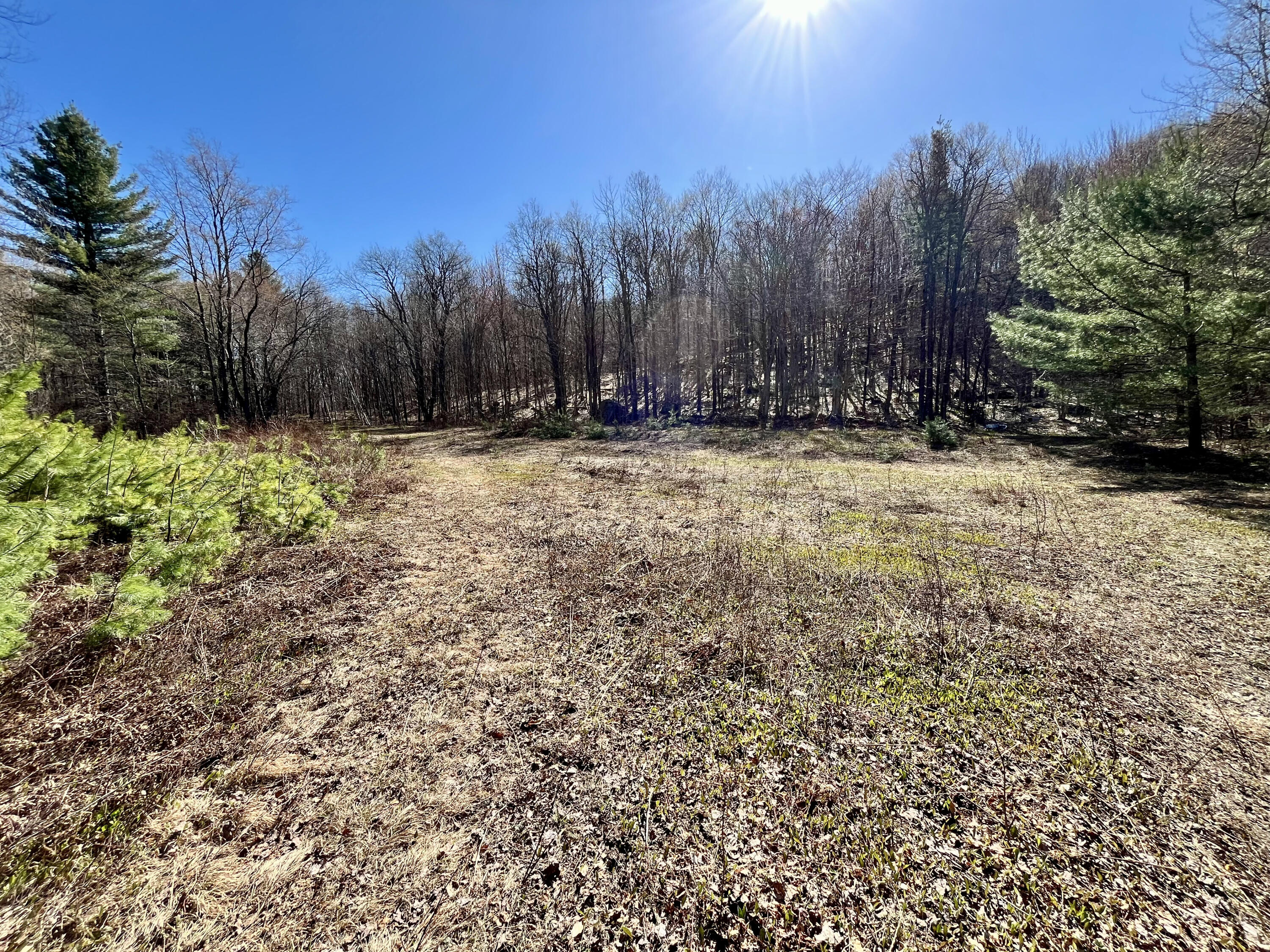 Off Oswegatchie Trail Road Star Lake NY 13690