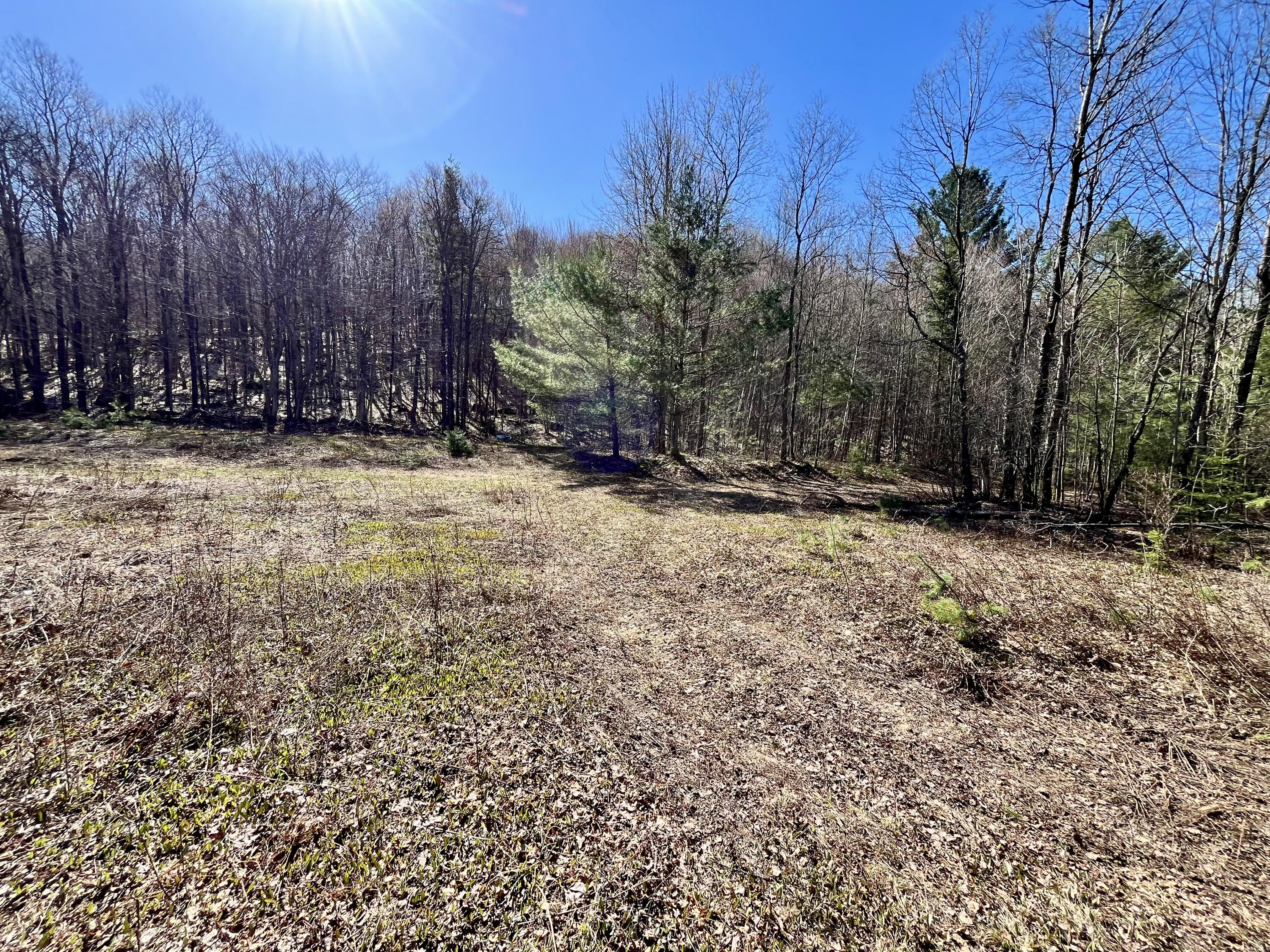 Off Oswegatchie Trail Road Star Lake NY 13690