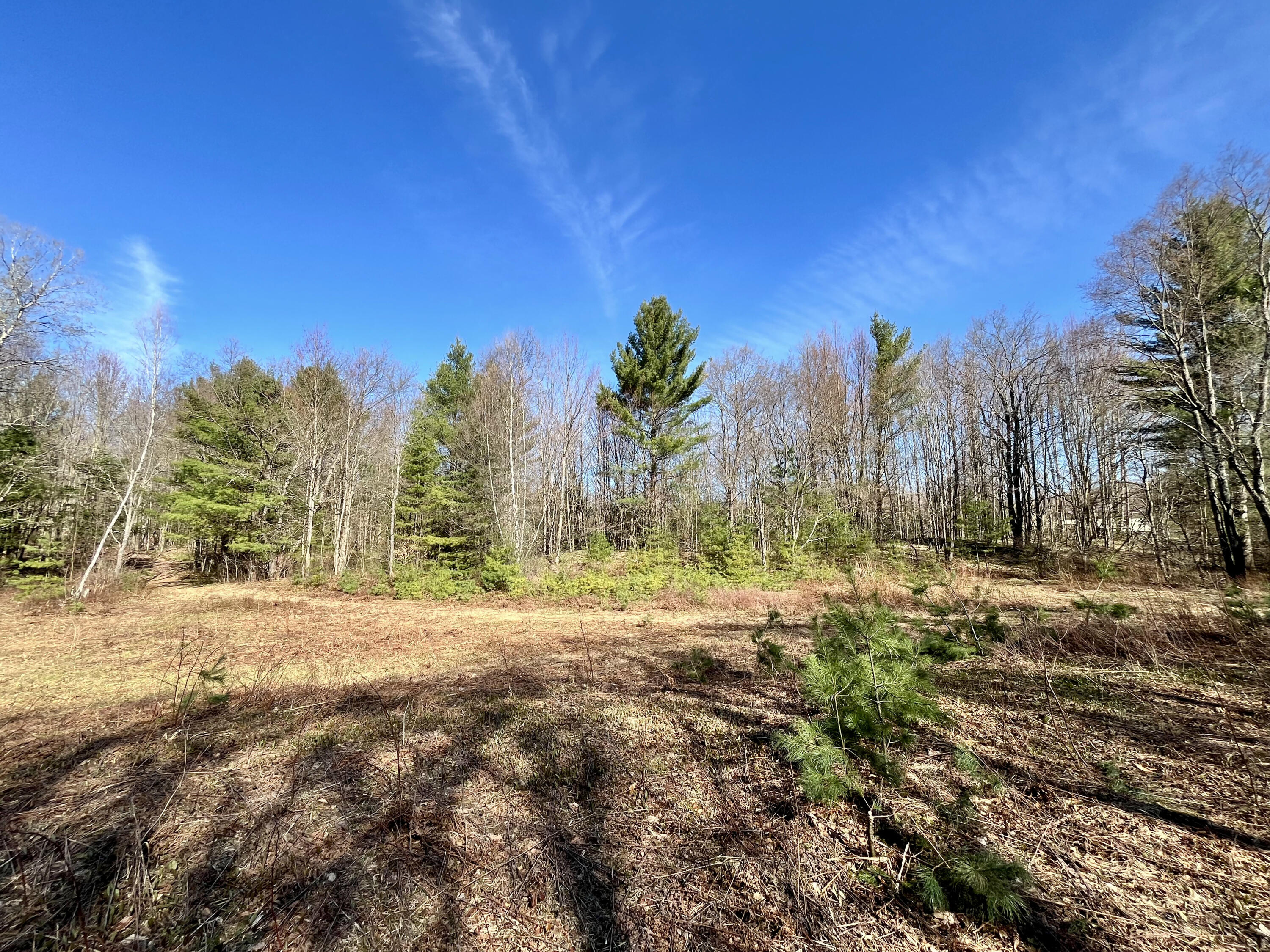 Off Oswegatchie Trail Road Star Lake NY 13690