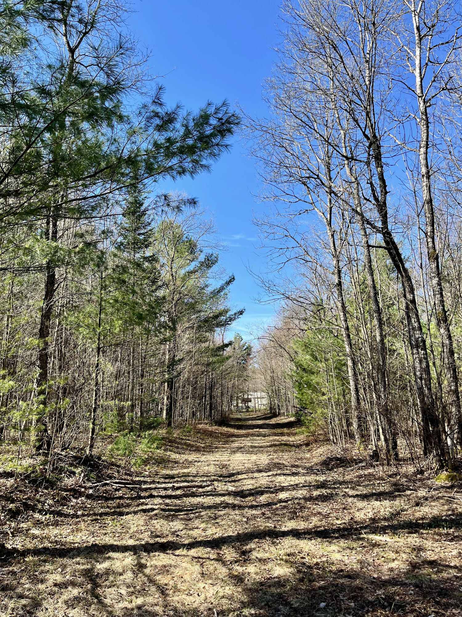Off Oswegatchie Trail Road Star Lake NY 13690