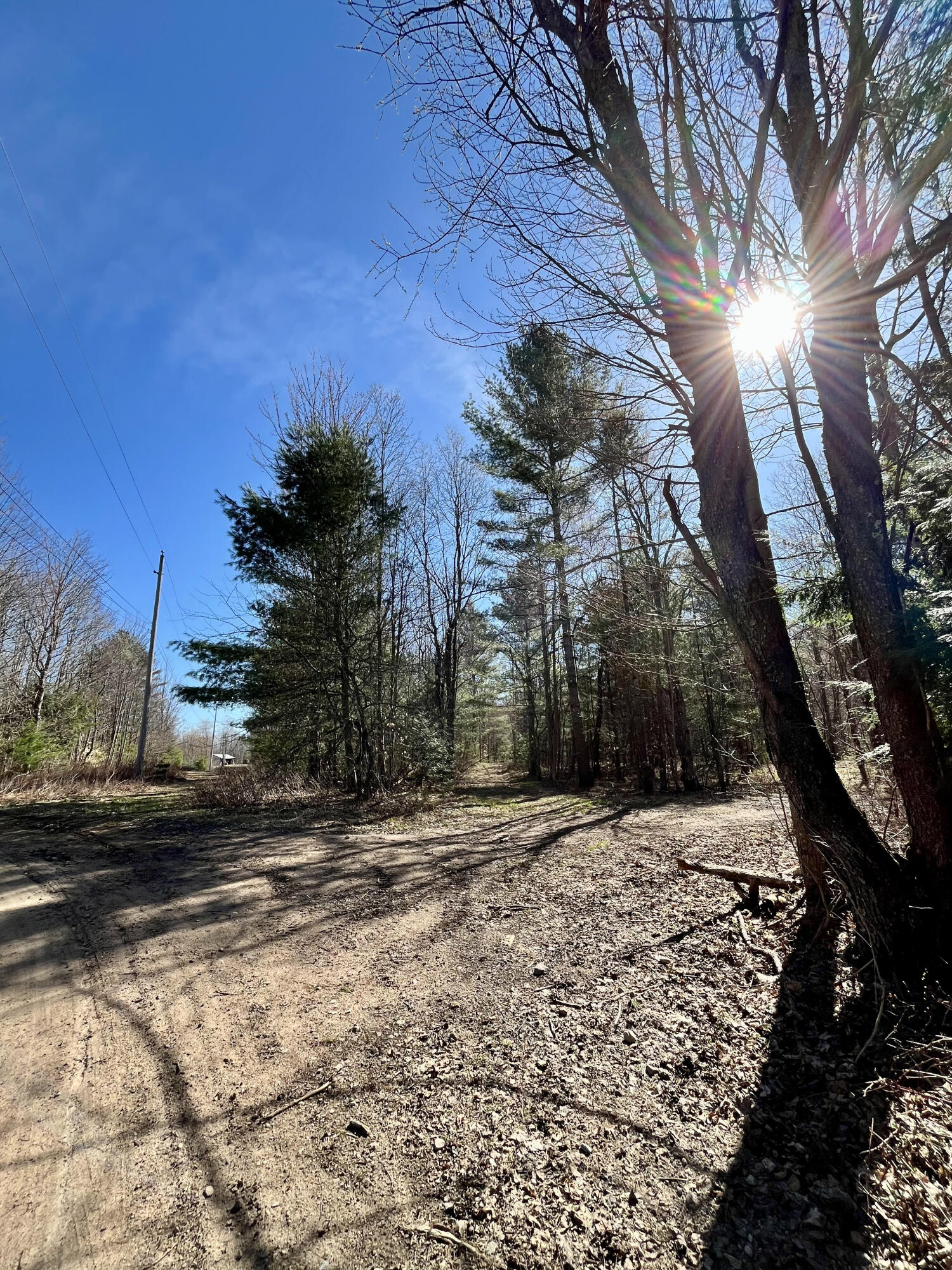 Off Oswegatchie Trail Road Star Lake NY 13690