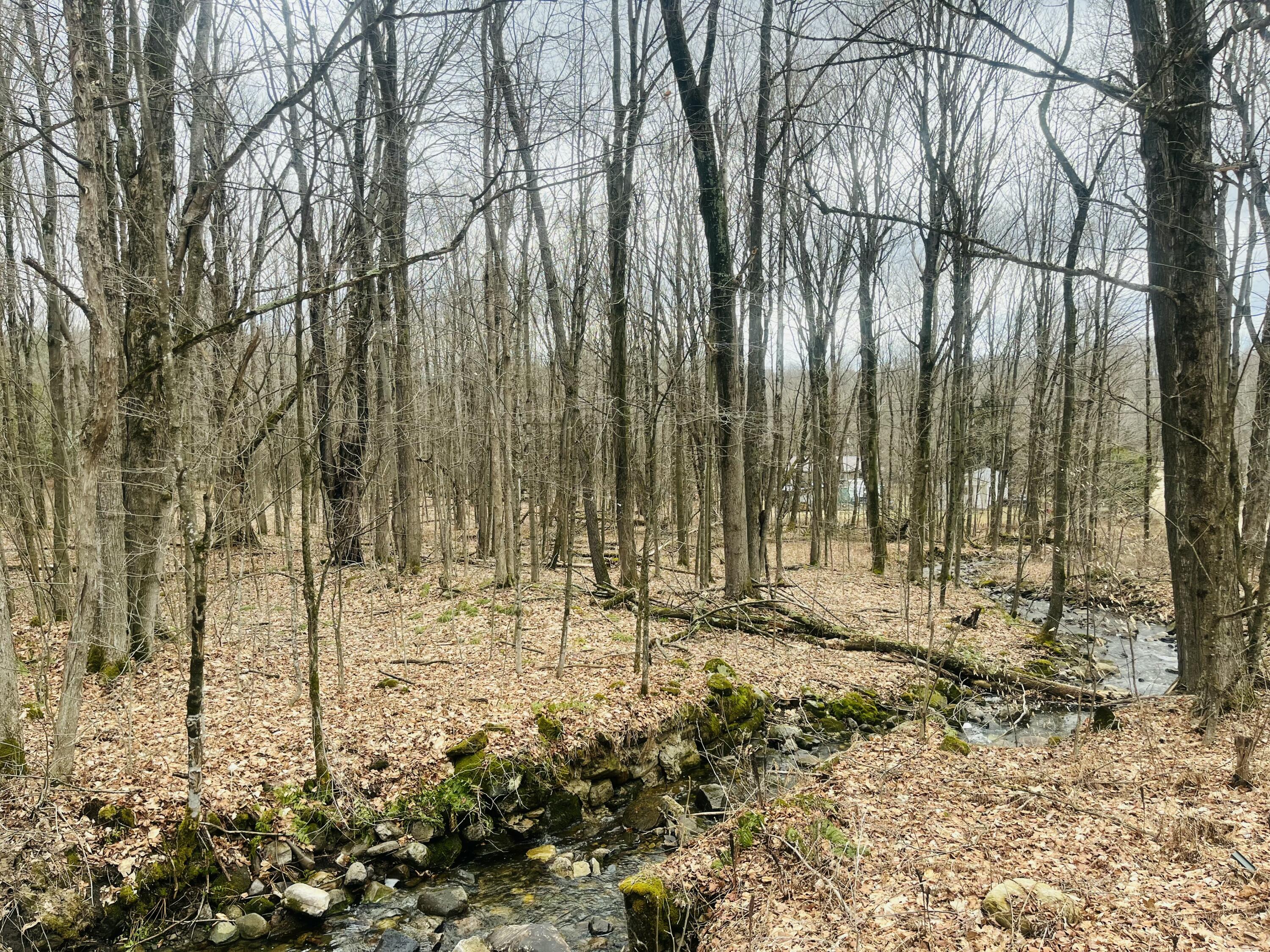 000 Sam Cook Road Chateaugay NY 12920
