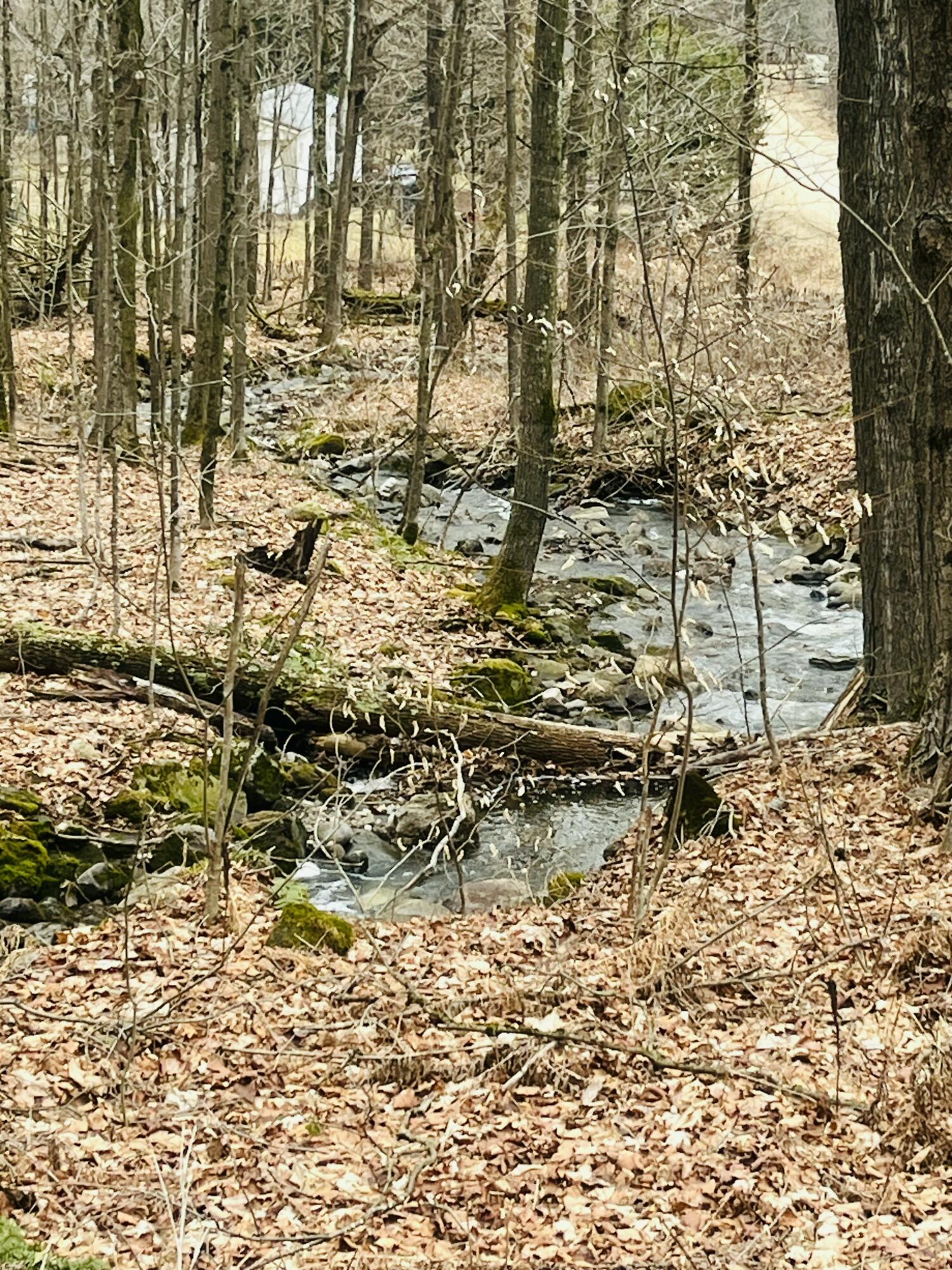 000 Sam Cook Road Chateaugay NY 12920