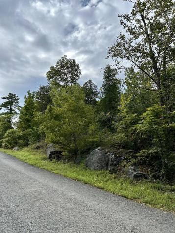 0 Bluff Point Drive Lot 41 Plattsburgh NY 12901