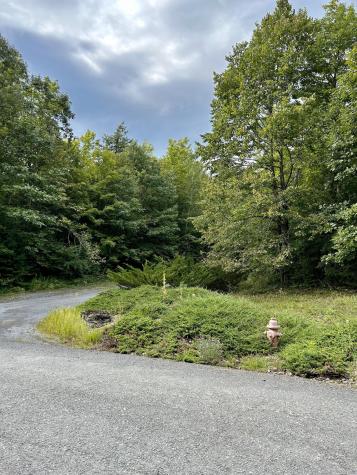 0 Bluff Point Drive Lot 41 Plattsburgh NY 12901