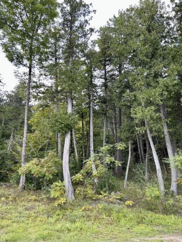 0 Bluff Point Drive Lot 41 Plattsburgh NY 12901
