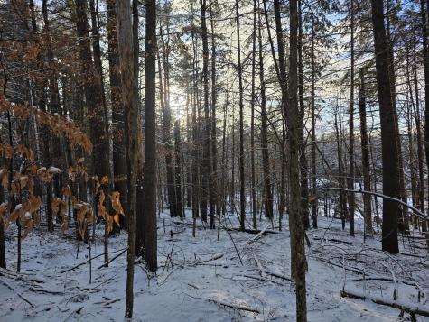 Tract 38 Hochsteig Lane Jay NY 12941