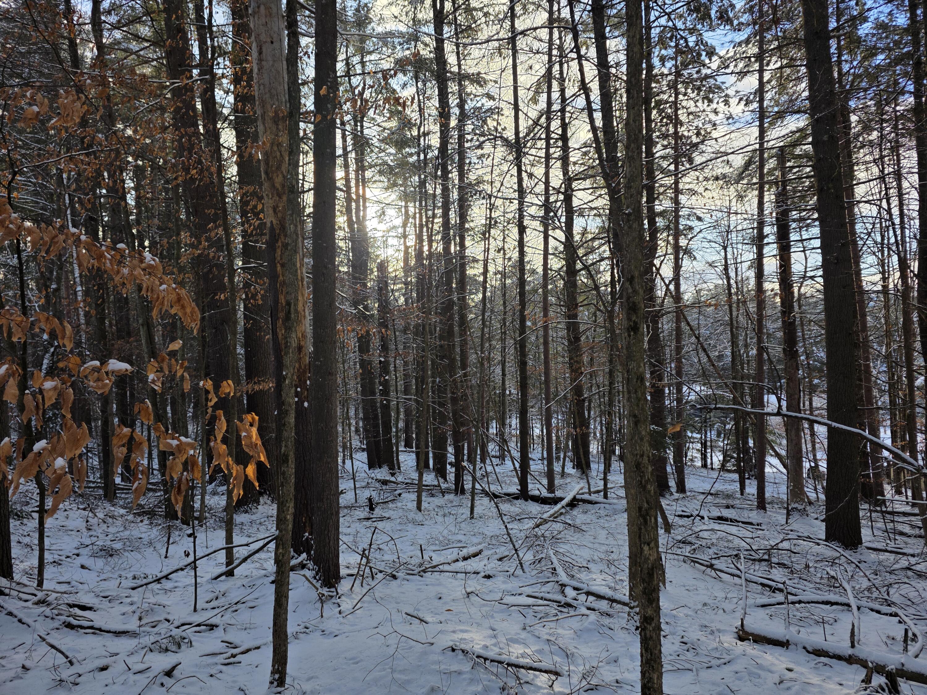 Tract 38 Hochsteig Lane Jay NY 12941