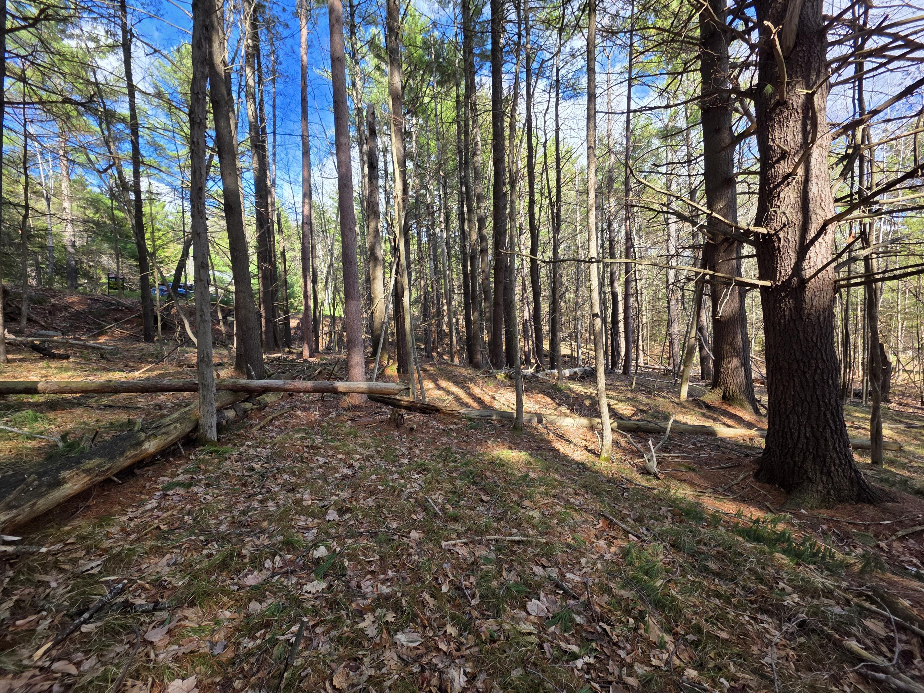 Tract 38 Hochsteig Lane Jay NY 12941