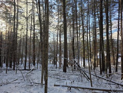 Tract 38 Hochsteig Lane Jay NY 12941