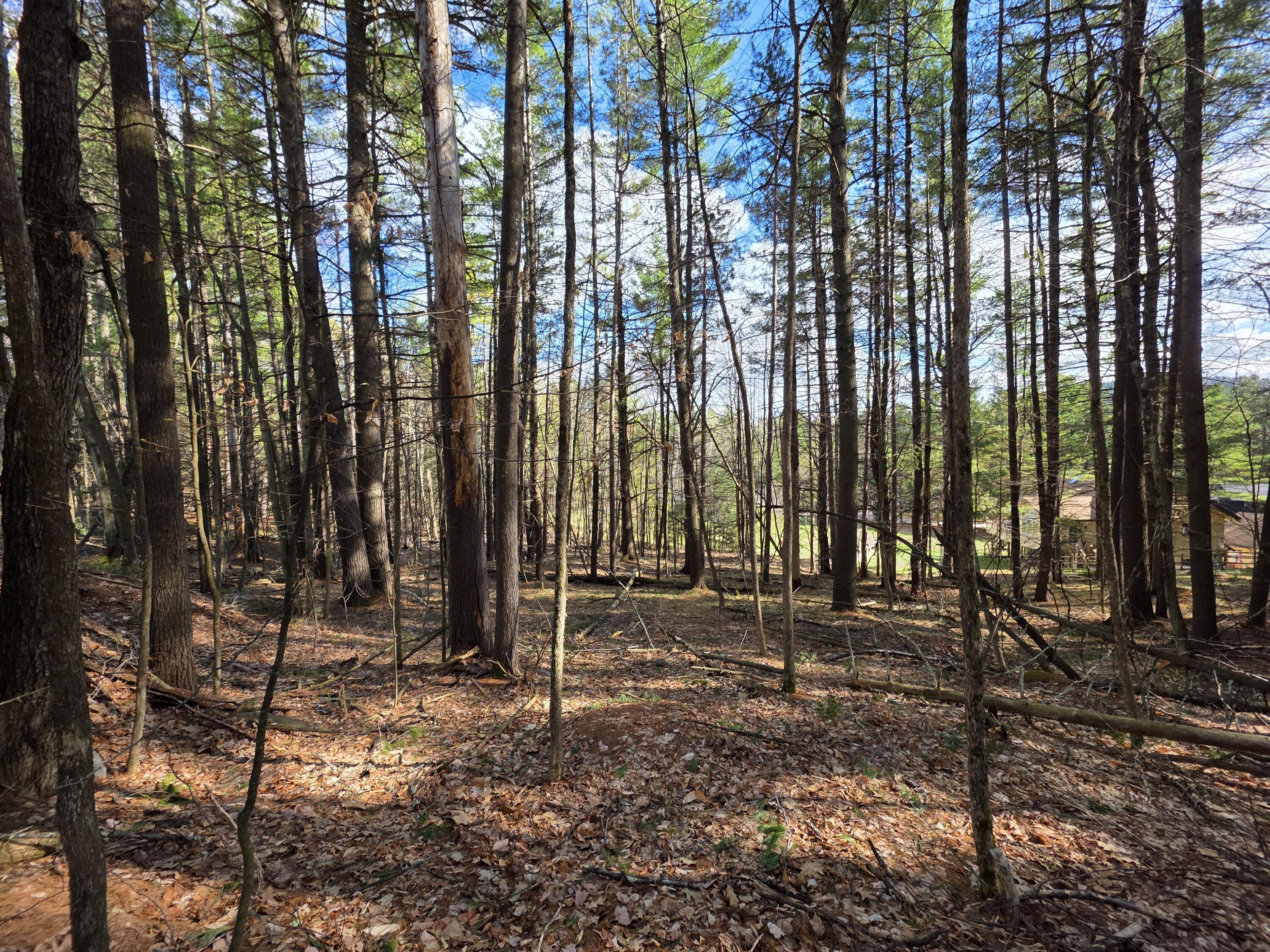 Tract 38 Hochsteig Lane Jay NY 12941