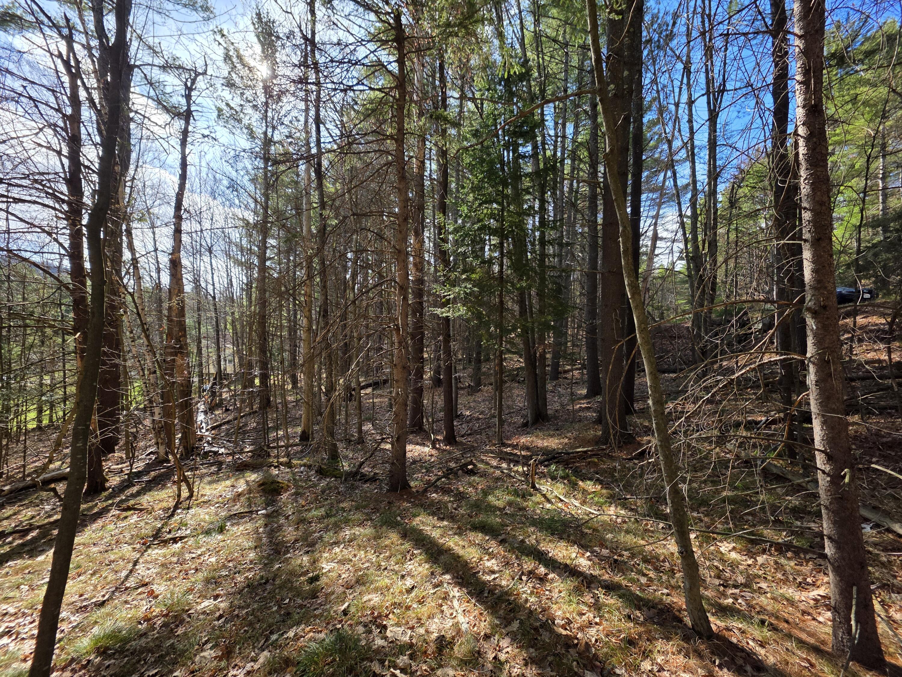 Tract 38 Hochsteig Lane Jay NY 12941
