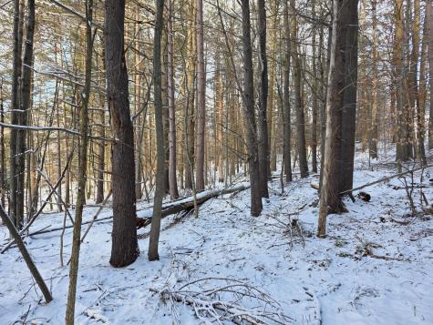 Tract 38 Hochsteig Lane Jay NY 12941