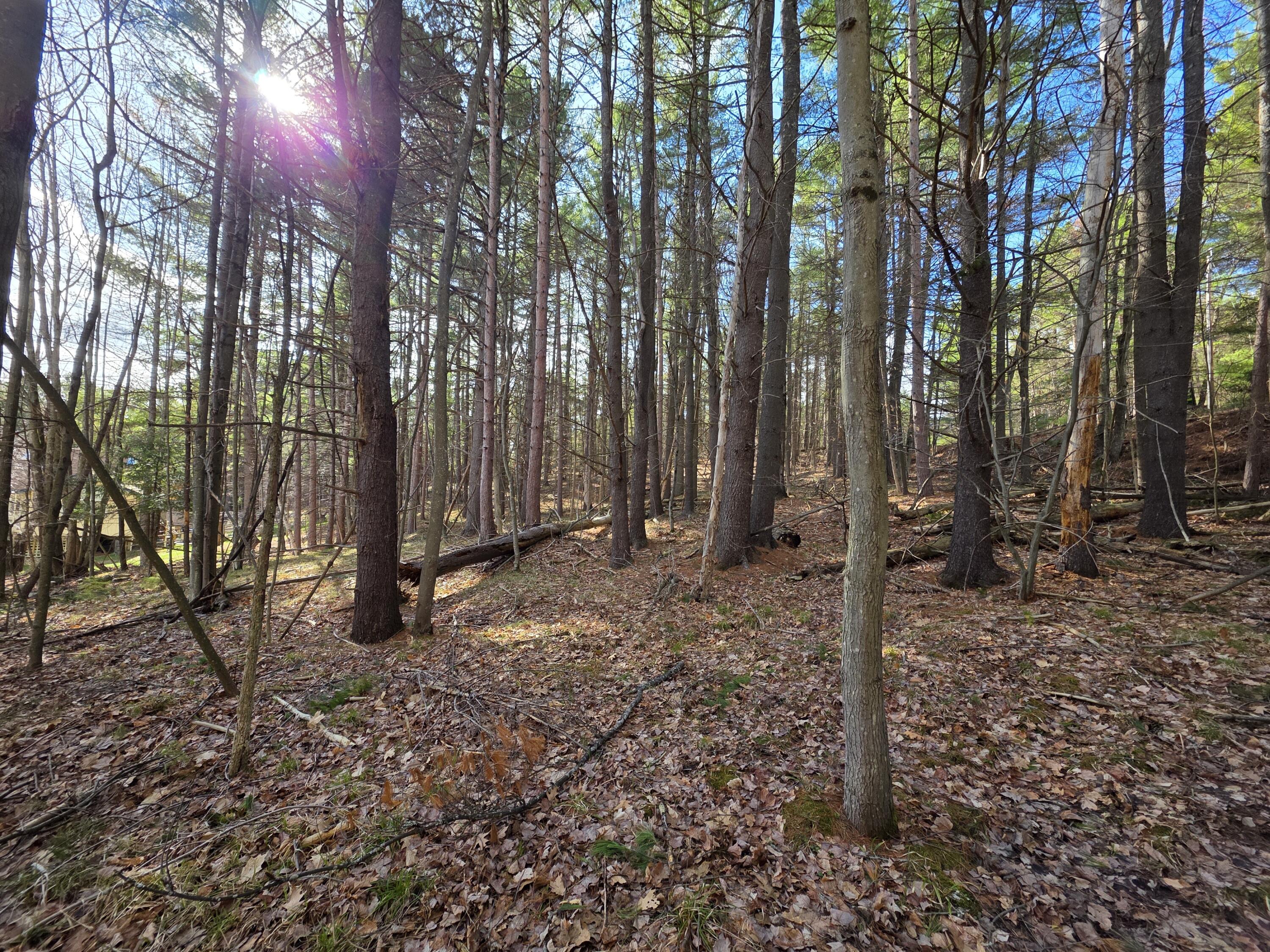 Tract 38 Hochsteig Lane Jay NY 12941