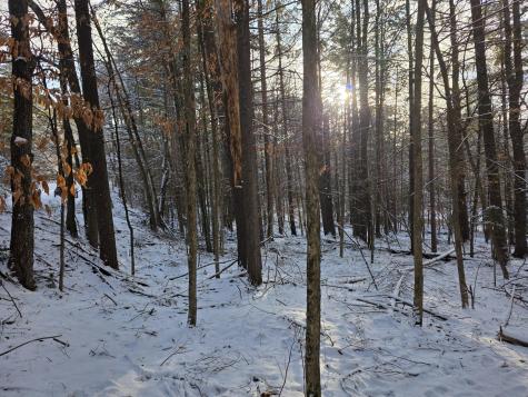 Tract 38 Hochsteig Lane Jay NY 12941