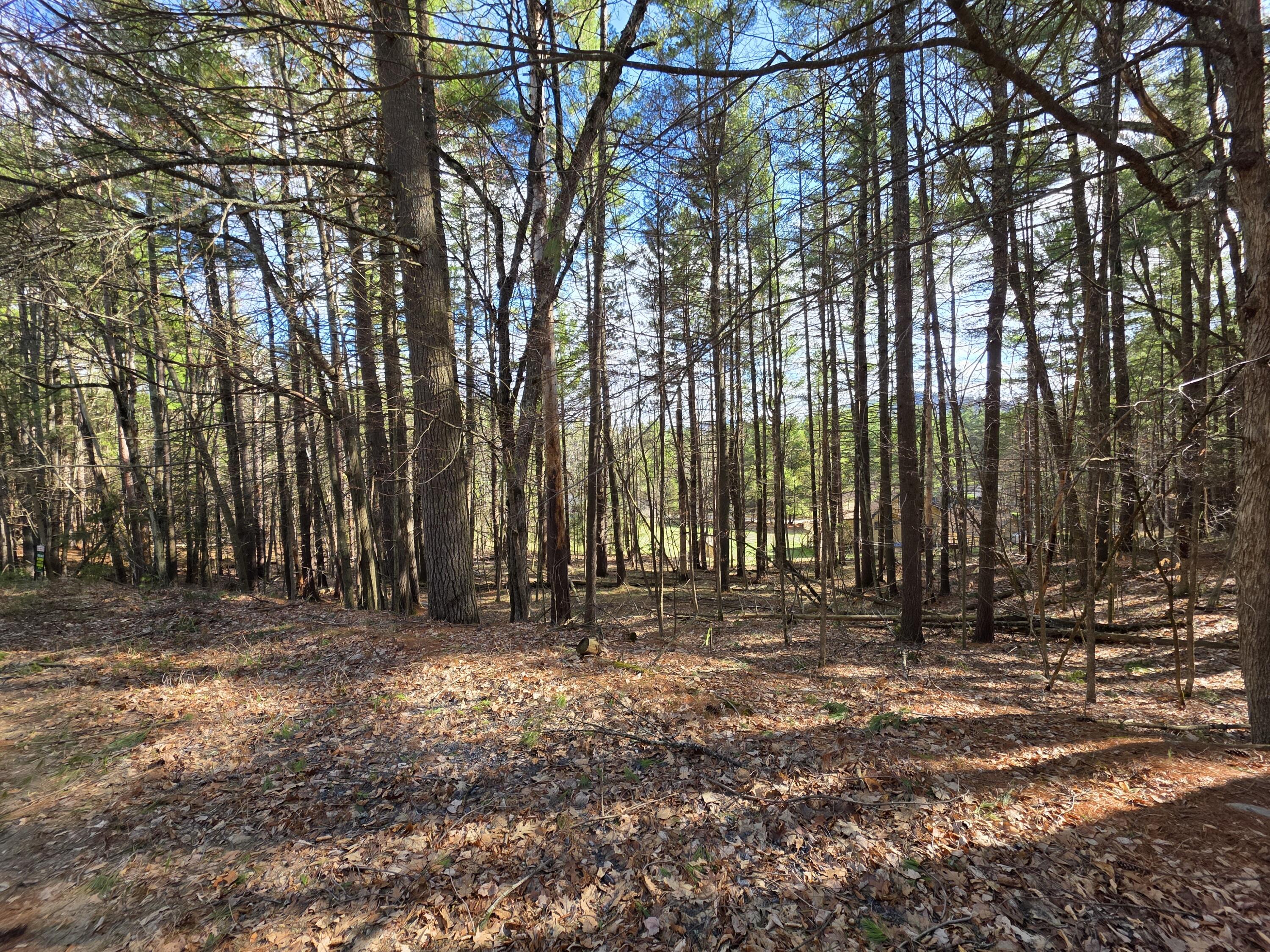 Tract 38 Hochsteig Lane Jay NY 12941