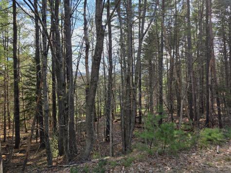 Tract 38 Hochsteig Lane Jay NY 12941