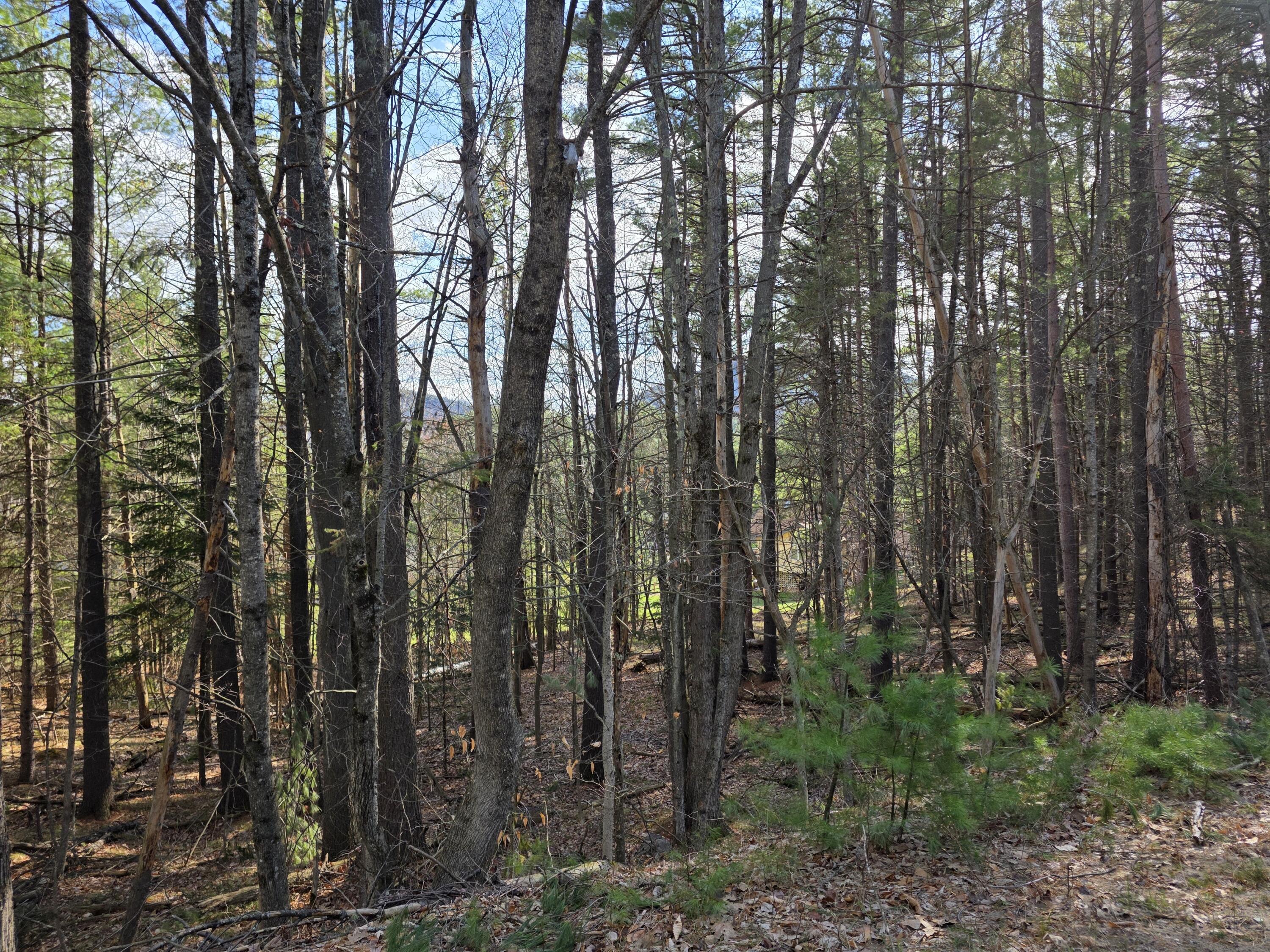 Tract 38 Hochsteig Lane Jay NY 12941