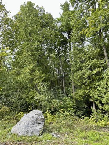 0 Bluff Point Dr Lot 41 Plattsburgh NY 12901