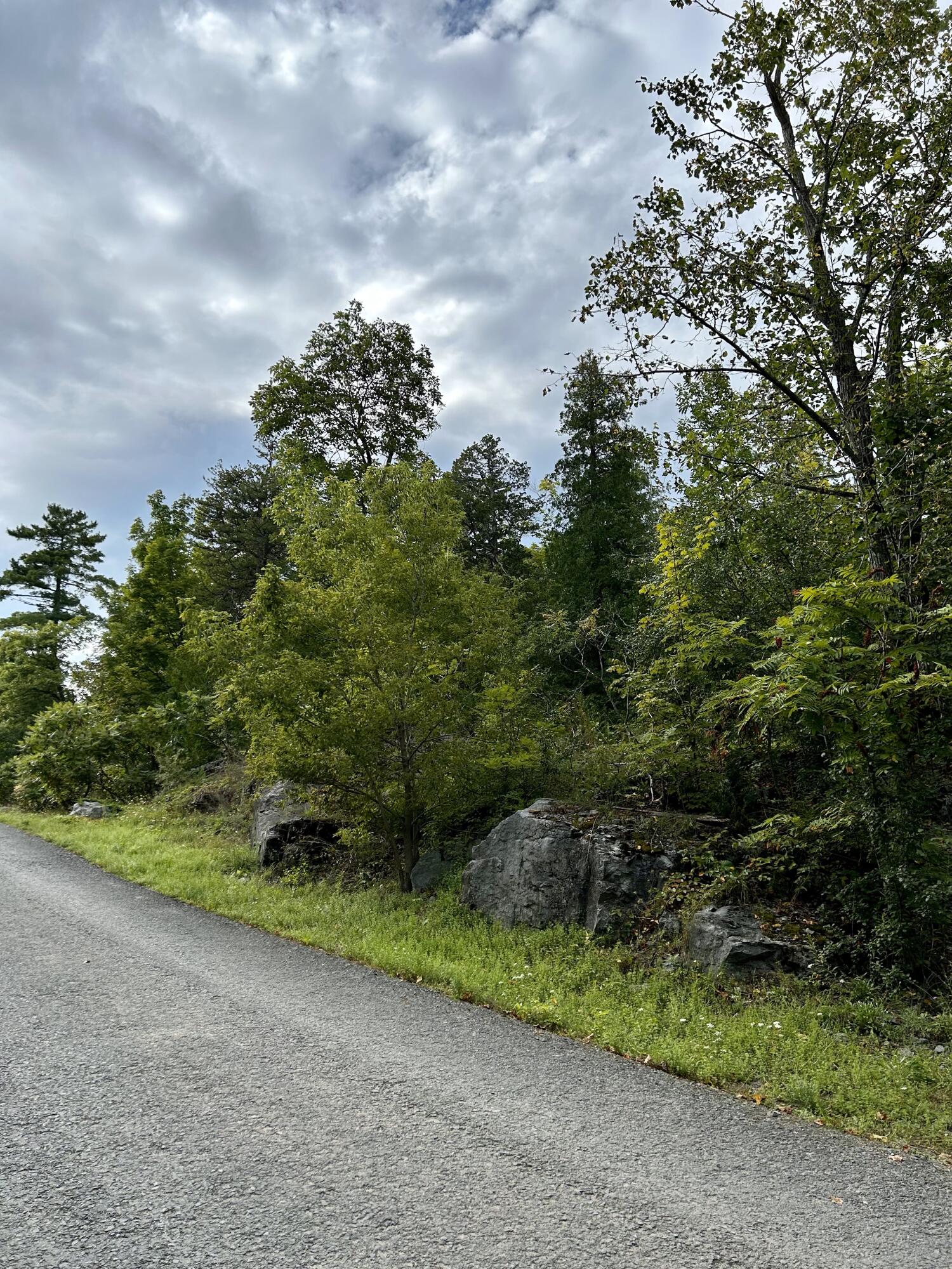 0 Bluff Point Dr Lot 41 Plattsburgh NY 12901