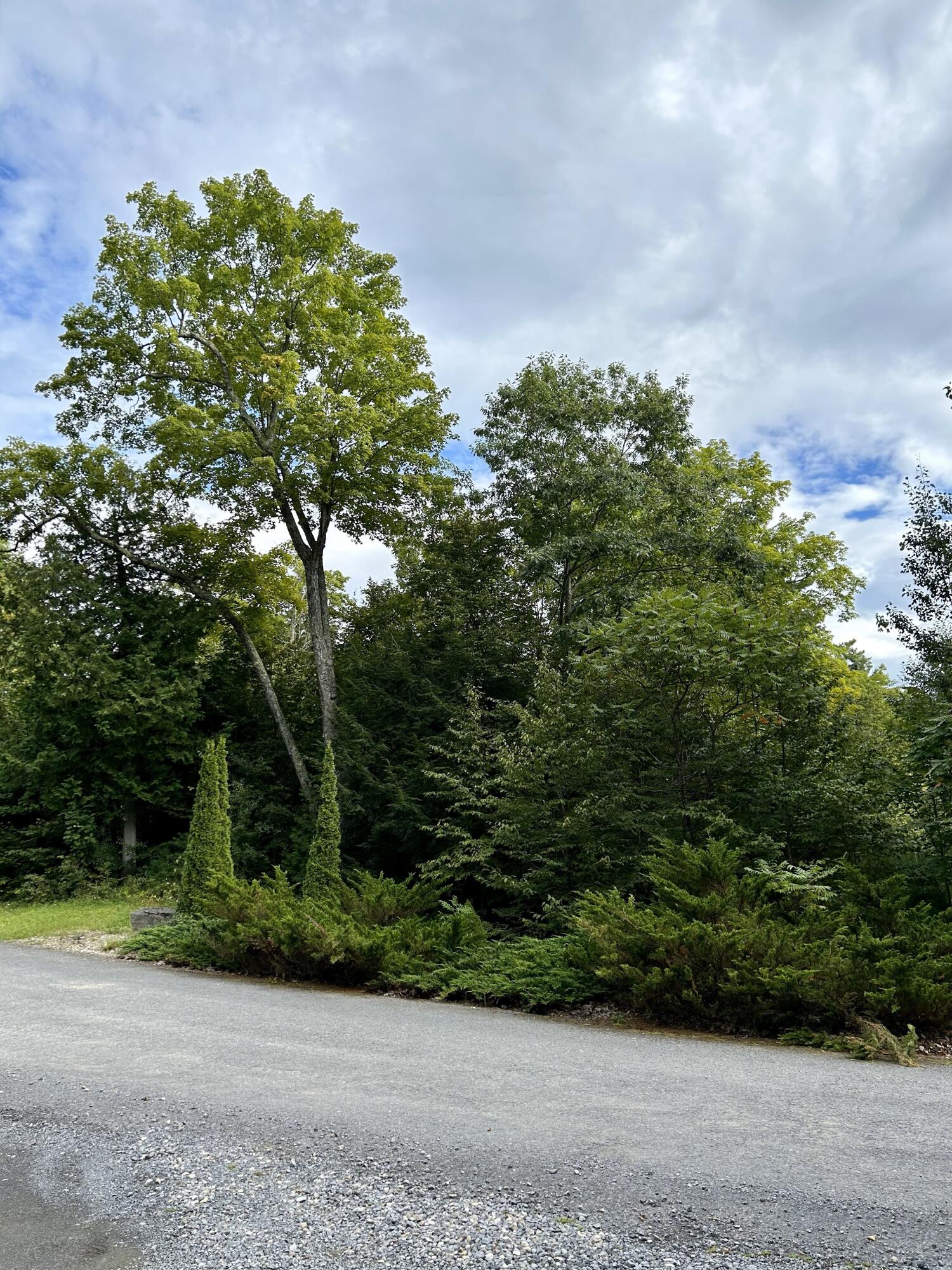 0 Bluff Point Dr Lot 41 Plattsburgh NY 12901