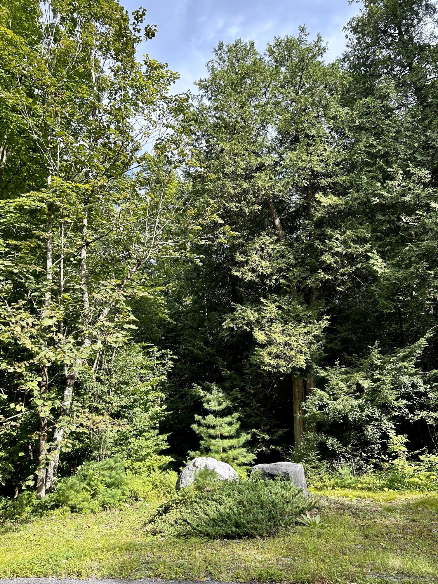 0 Bluff Point Dr Lot 41 Plattsburgh NY 12901