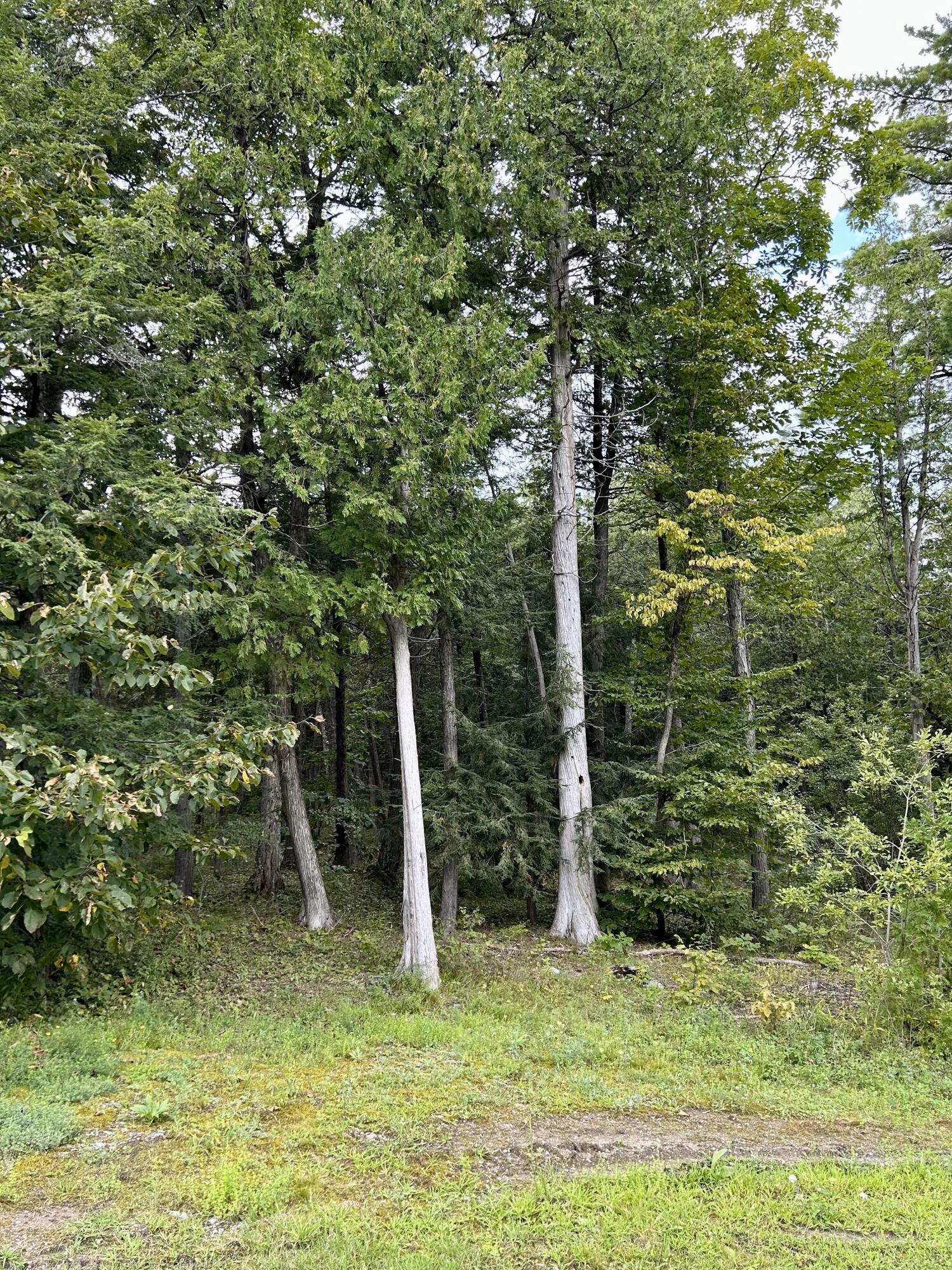 0 Bluff Point Dr Lot 41 Plattsburgh NY 12901