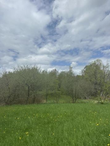 0 Rand Hill Road Beekmantown NY 12992