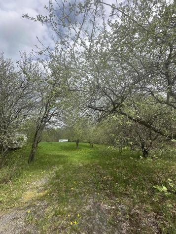 0 Rand Hill Road Beekmantown NY 12992