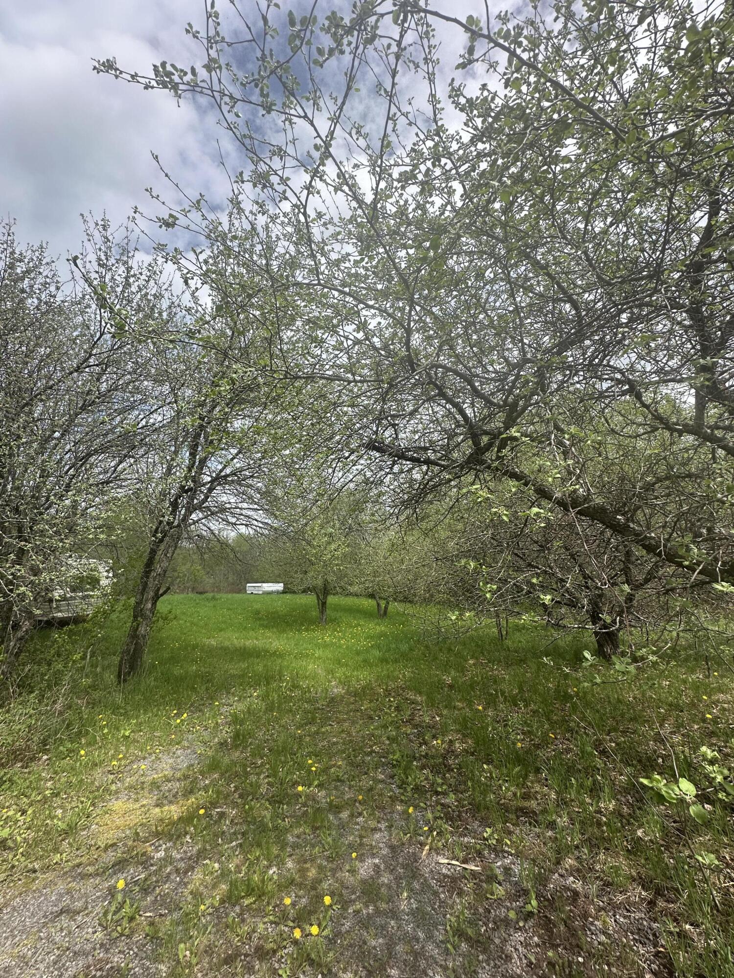 0 Rand Hill Road Beekmantown NY 12992