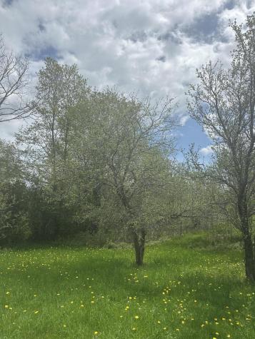 0 Rand Hill Road Beekmantown NY 12992