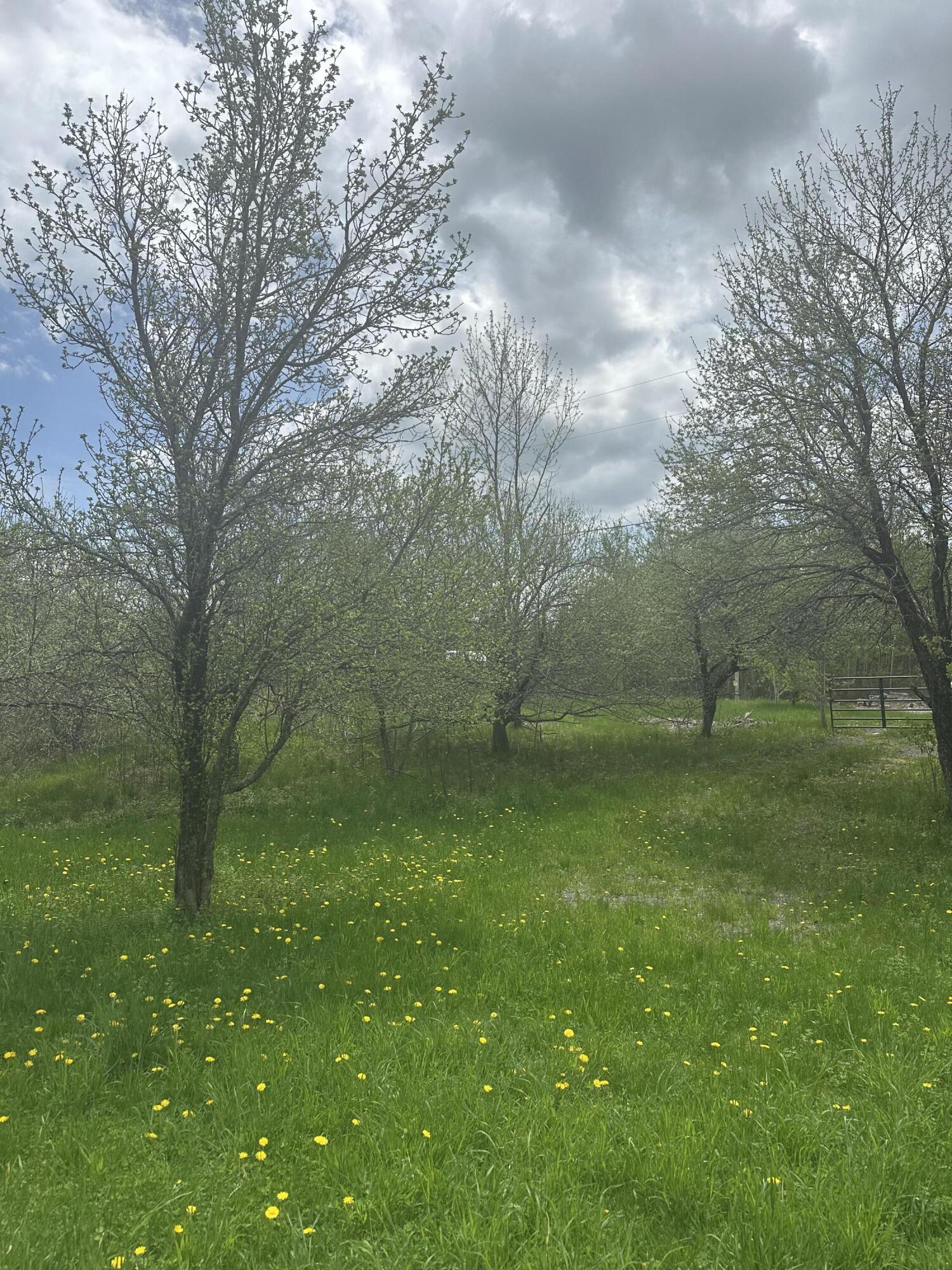 0 Rand Hill Road Beekmantown NY 12992