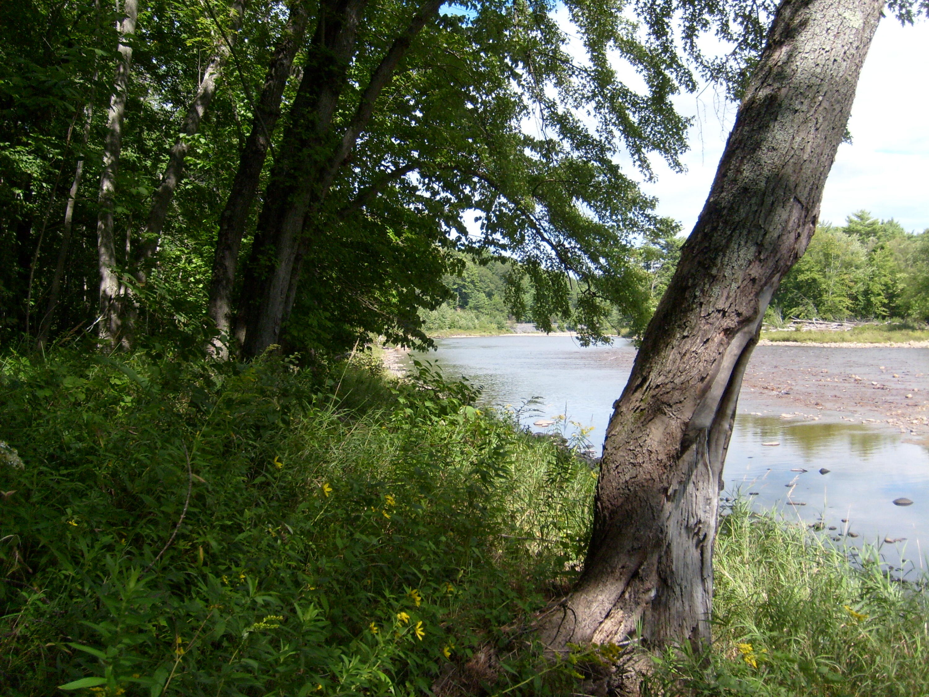 0 New York 9n Au Sable Forks NY 12912