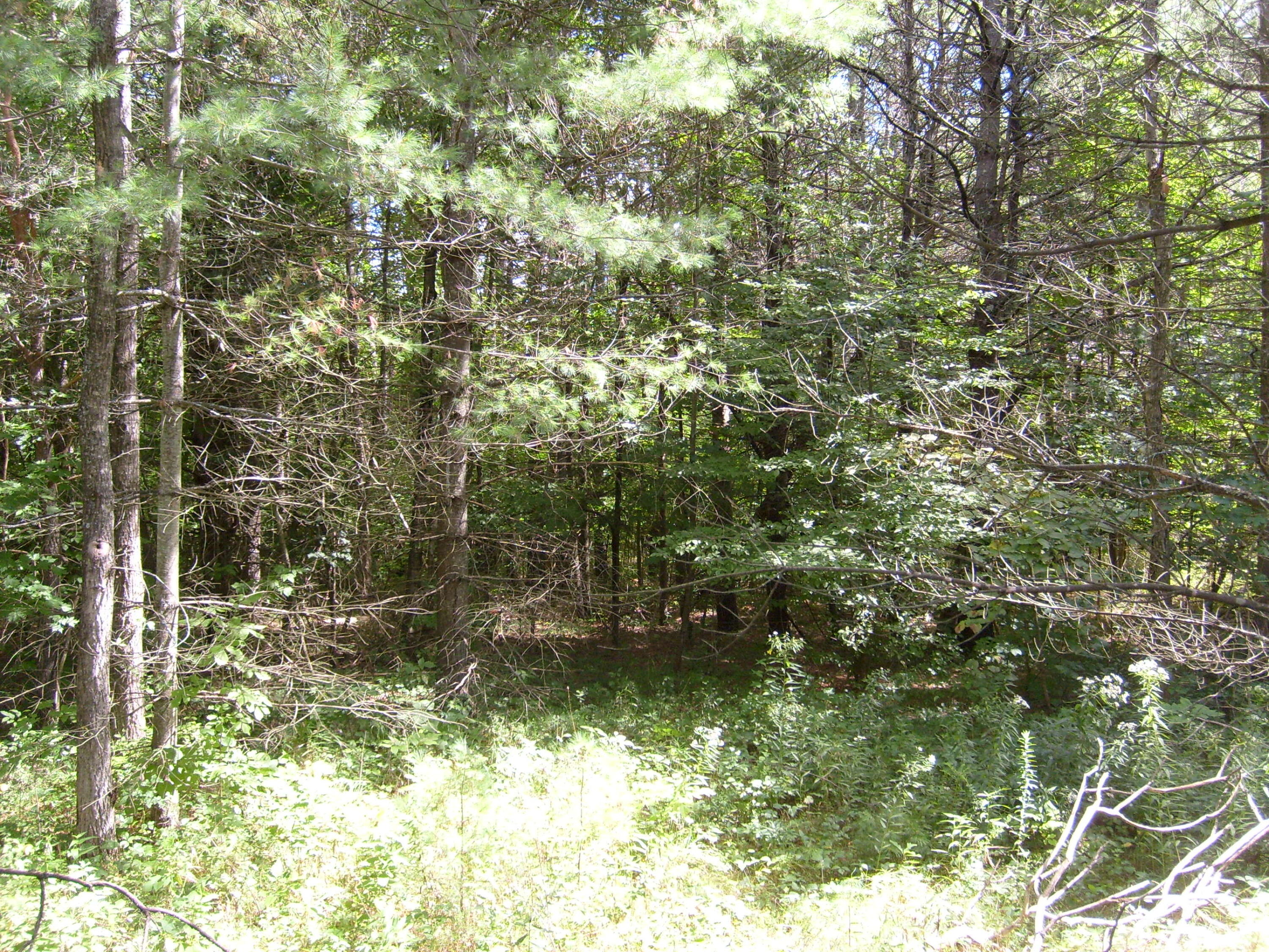 0 New York 9n Au Sable Forks NY 12912