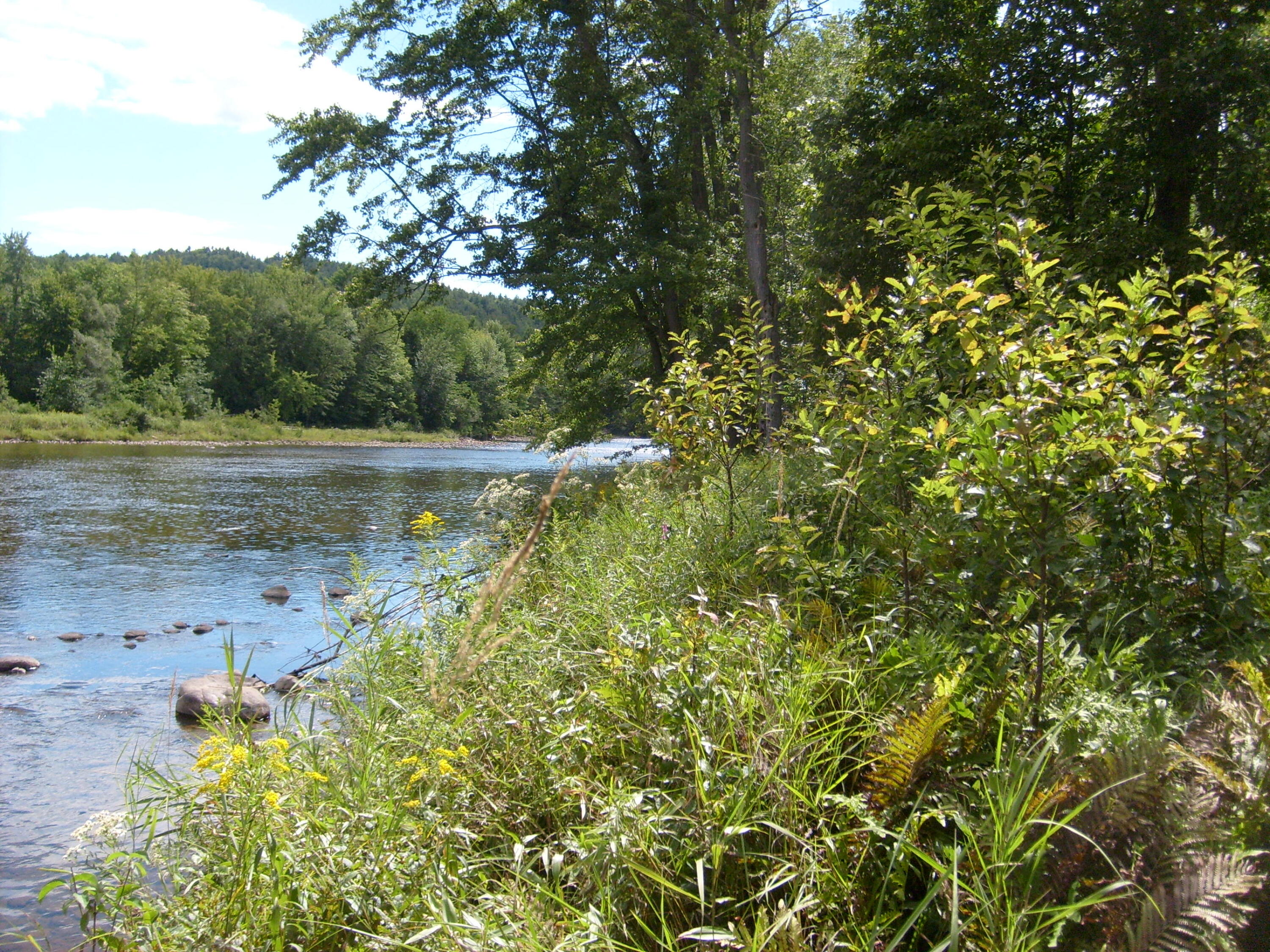 0 New York 9n Au Sable Forks NY 12912