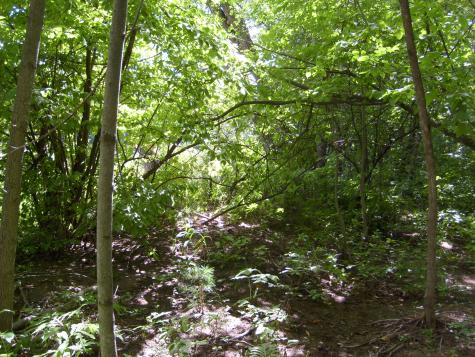 0 New York 9n Au Sable Forks NY 12912