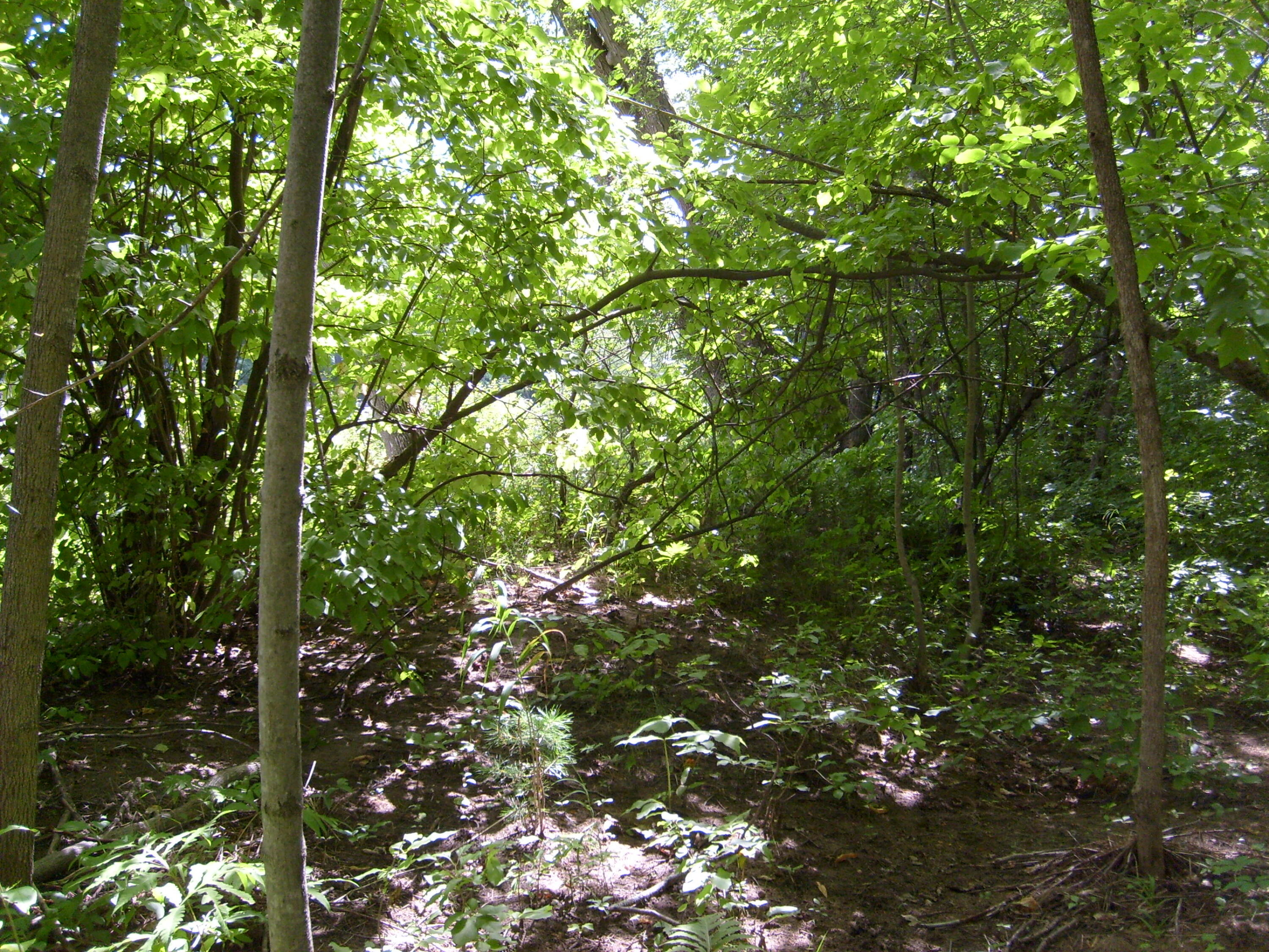 0 New York 9n Au Sable Forks NY 12912