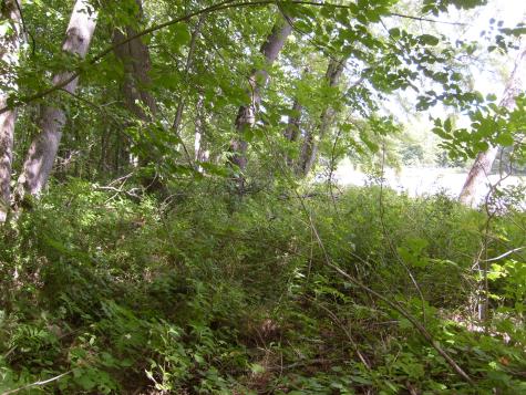 0 New York 9n Au Sable Forks NY 12912