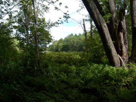 0 New York 9n Au Sable Forks NY 12912