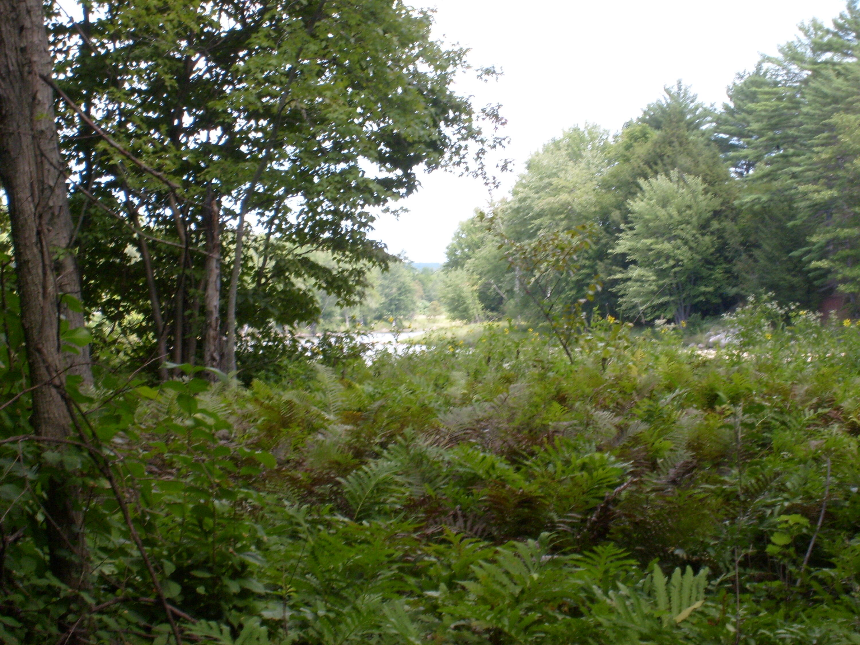 0 New York 9n Au Sable Forks NY 12912